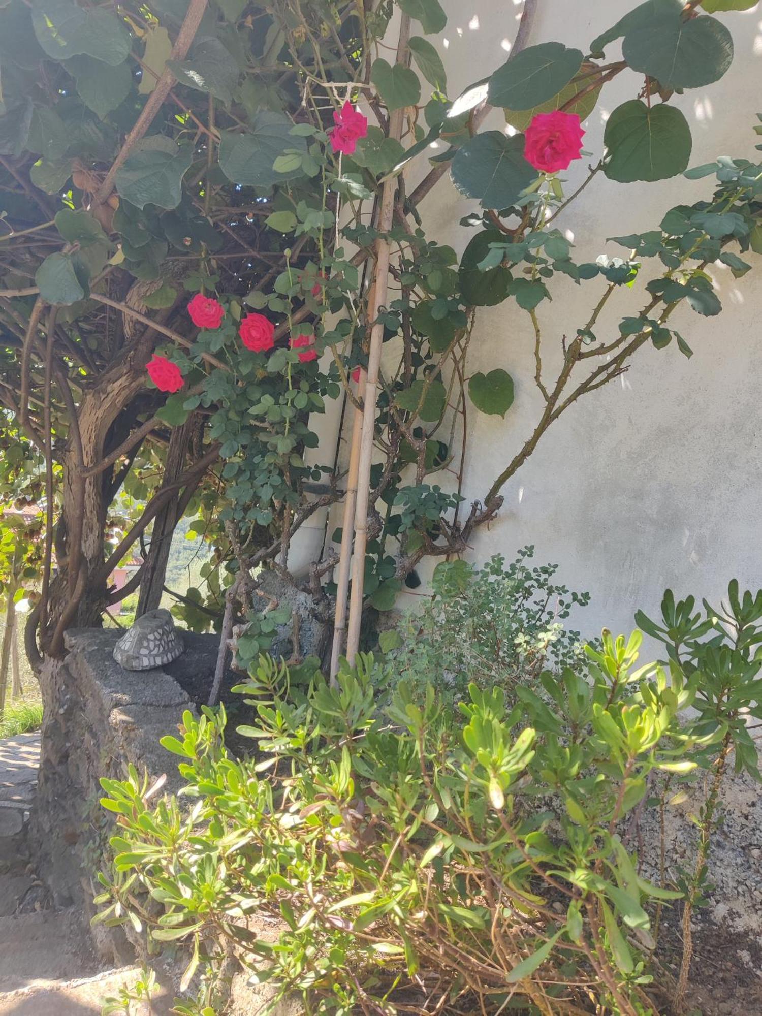Stella Casa Bartola 아파트 외부 사진