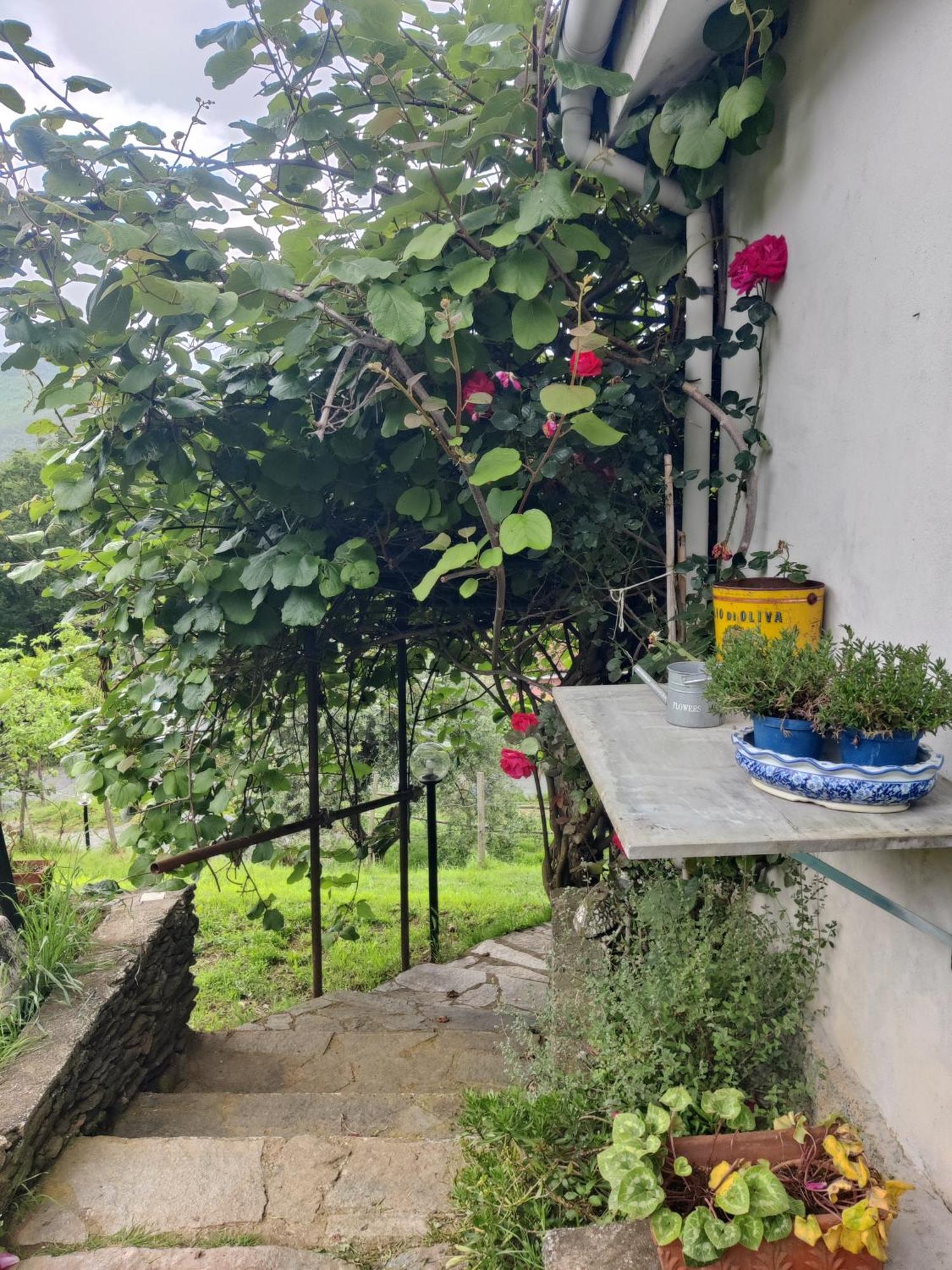Stella Casa Bartola 아파트 객실 사진